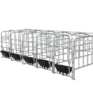 pig restraint equipment farrowing gestation stall used for sows trade