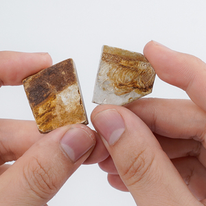 Lycoptera Fragment fossils | <span class=keywords><strong>ปลา</strong></span>ครีเทเชียสยังคง | เหมาะสำหรับการศึกษา Micro-paleontology - Product Image 4