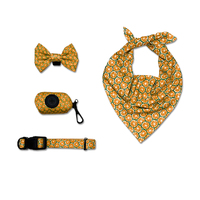 Kit pour chien 6 pièces avec logo personnalisé, motif agrumes : Collier, laisse, harnais de sécurité, bandana, nœud papillon, distributeur de sacs à déjections, accessoires de promenade réglables