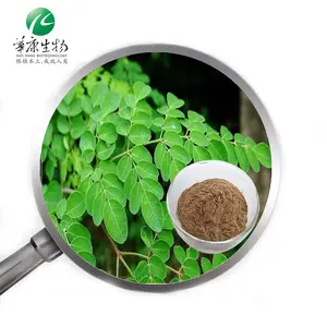 Plant Extract Moringa Oleifera Pterygospermin Moringine Spirochin Powder Moringa Leaf Extract