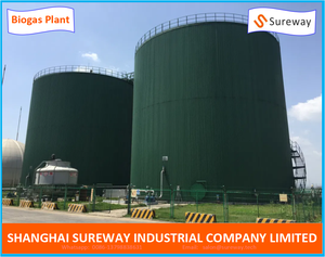 مشروع الغاز الحيوي-نظام كامل من النفايات إلى الطاقة - Product Image 3