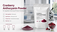 Natuurlijk Cranberry Fruitpoeder 25% Anthocyanine Voedingskwaliteit GMP Gecertificeerd 1kg Vacuüm verpakt Grondstof voor Voedingssupplementen