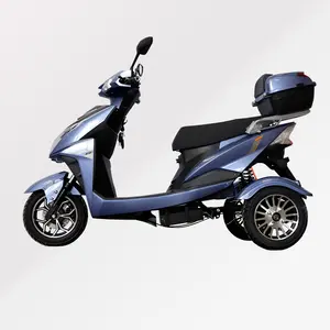 48volt città adulto moto scooter elettrico tricicli elettrici importatore triciclo acrobazia elettrica triciclo