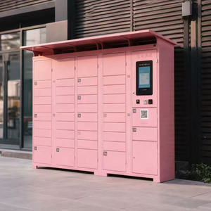 Boîtes de livraison intelligentes de <span class=keywords><strong>colis</strong></span> de collecte de système libre-service rose de protection solaire de communauté extérieure de fournisseur - Product Image 3