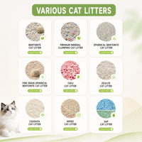 Arena para Gatos de Bentonita con Tamaño de Partícula Personalizado y Múltiples Opciones de Empaque, Procesada con Maquinaria, para Comerciantes Globales de Productos para Mascotas