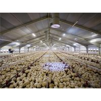 Bâtiments d'élevage de poulets en acier préfabriqués pour l'élevage de poulets de chair