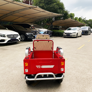 2025 48V/60V Triciclo eléctrico para adultos Trimotos abiertos de tres ruedas con tipo de cuerpo cómodo - Product Image 3