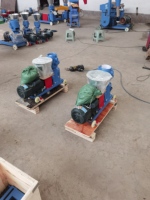 Mini Machine de Fabrication de Granulés pour Aliments d'Animaux, Granulateur Traitement Volaille Bétail Porc Poisson