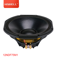 Haut-parleur Neo Woofer de 12 pouces avec transducteur audio P Audio Haut-parleur de 12 pouces