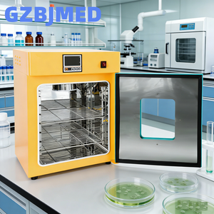 Incubatore Elettrico da Laboratorio a Temperatura Costante per Coltura Batterica 20L 50L 100L - Product Image 1