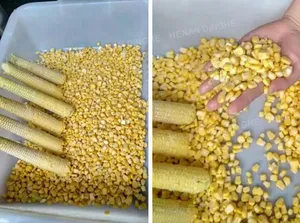 Stainless steel sweet fresh corn seed shelling threshing machine with conveyor