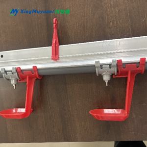 Nouveau système d'alimentation et d'abreuvement automatique pour poulets de chair en élevage avicole avec matériau PP pour poulailler - Product Image 6