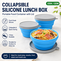 Ensemble de contenants alimentaires en silicone pliables et réutilisables avec bol et couvercle pliables, capacité de 1 à 3 L, boîte à lunch pour enfants, école