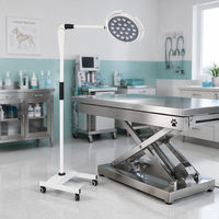 Lampe d'examen vétérinaire LED portable sans ombre pour clinique vétérinaire