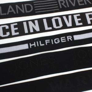 Bande de tissu jacquard en nylon et élasthanne avec ceinture élastique personnalisée pour sous-vêtements, écologique, certifiée Oeko-Tex, logo personnalisé imprimé - Product Image 6