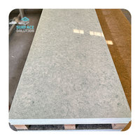 SURFACE SOLUTION Fabriqué en Chine Plan de travail/Comptoir en surface solide pour cuisine et salle de bain moderne 12 mm Certifié CE/NSF Garantie 5 ans