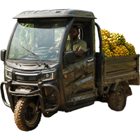 Tricycle électrique avec toit intégré, trike utilitaire 1800W, tricycle électrique à 3 roues, 45 km/h, pour usage domestique et agricole quotidien