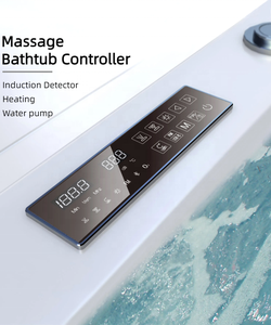 STEPON 25+Years Manufacturer OEM ODM Whirlpool Bathtub <strong>Control</strong> Panel Display System Hot Tub Massage Bathtub <strong>Controller</strong> - Product Image 1