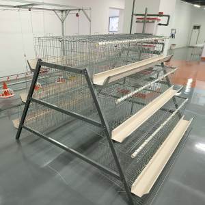 Système de <span class=keywords><strong>cage</strong></span> à poules pondeuses de type batterie pour 1000 oiseaux, équipement d'élevage de poulets galvanisé, vente chaude - Product Image 4