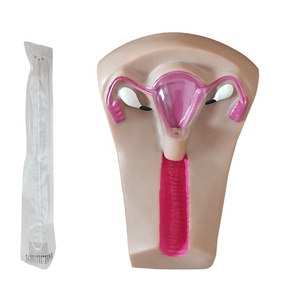Mô hình đào tạo dụng cụ tử cung nữ (iud) - Product Image 1