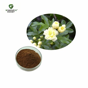 Extracto de Raíz de Inula (Elecampane) en Polvo 10:1, Extracto Natural de Planta Inula <span class=keywords><strong>Helenium</strong></span> para Suplementos Dietéticos, Grado Alimenticio, a Granel - Product Image 3