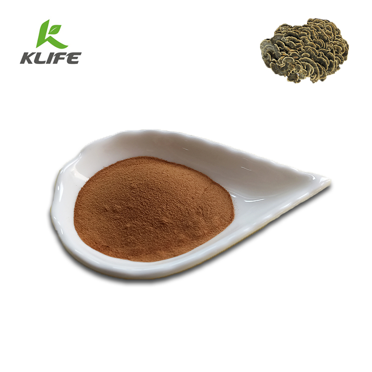 Оптовая продажа, натуральный порошок из экстракта огарского кориола, вершиколора, индейки, хвоста, грибов