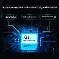 Forlinx FET-MX9352-UP4 NXP i.MX9352 Carte mère SoM double Cortex-A55 M33 0.5TOPS NPU TSN CAN FD pour l'informatique industrielle embarquée Linux