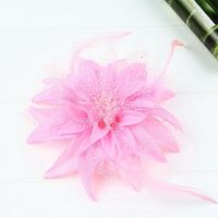 Accessoires de cheveux pour enfants : nœuds, barrettes, épingles et coiffes à plumes et fleurs pour la danse et les spectacles scolaires