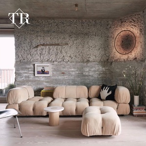 Divano a nuvola divano componibile divano premium Internet celebrity furniture soggiorno divano set mobili per la casa di alta qualità - Product Image 2