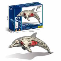 Kit de modèle d'anatomie de lion 3D à faire soi-même, 39 pièces, squelette détachable, organes, jouet éducatif scientifique STEM pour enfants, cadeau