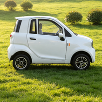 Quadricycle électrique homologué EEC COC L6e avec couleurs personnalisées, climatisation et autonomie de 90 km pour utilisation urbaine en UE