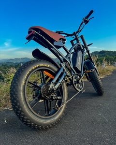 2025 Electric Bicycle for Adults <b>Cheap</b> EU 20inch Steel <b>Frame</b> with Rear Hub Motor and Lithium Battery Fat Tire E-Bike Buy! - Product Image 1