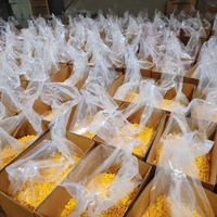 Friandises lyophilisées pour chiens et chats avec jaunes d'œufs, riches en viande et en lécithine, protéines de haute qualité, renforcent l'immunité, vente en gros OEM 1kg