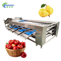 Shepody hogesnelheidsautomatische fruit- en groentesorteermachine, automatische sorteermachine voor mango's, appels, citroenen en groenten op maat.