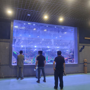 Pecera Acrílica Rectangular de Diseño Moderno de 80 mm y 100 mm, Lista para Enviar, para Peces Tropicales, Uso en Exteriores - Product Image 6