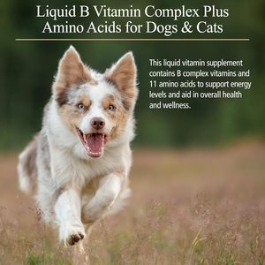 En Stock: Gotas de Aceite de Pescado con Alto Contenido de Proteínas, Complejo de <span class=keywords><strong>Vitamina</strong></span> B y Aminoácidos <span class=keywords><strong>para</strong></span> <span class=keywords><strong>Perros</strong></span> - Apoyo Corporal Total - Product Image 2