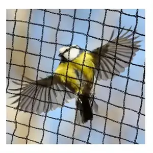hdpe סרוג פוליאתילן להגנת ציפורים רשת רשתות ציפורים רשת פלסטיק