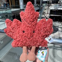 Jellca26 Nouveautés d'été en stock – Nouvelle édition limitée : Décoration trèfle en peluche super mignonne, cadeau d'anniversaire