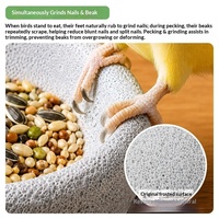 Gamelle ronde mate en pierre pour oiseaux, anti-renversement, pour le nettoyage du bec et l'affûtage des griffes – un gadget indispensable pour les perroquets