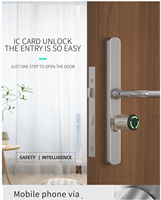 Serrure de porte intelligente numérique à cylindre européen étanche IP67 avec option clavier Tuya TTlock WK3/2, carte et NFC pour téléphone