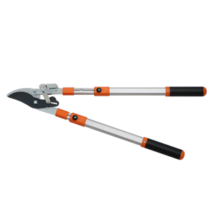 Cortador de derivación de trinquete profesional () para herramienta manual de jardín de poda de ramas altas - Product Image 1