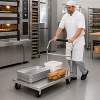 Chariot utilitaire roulant Intlk en acier inoxydable 201, robuste, capacité de charge 300 kg/m, 4 roues, finition sablée, pour cuisine, garantie 1 an