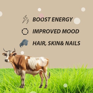 Cápsulas de Hígado de Res Alimentada con Pasto OEM ODM, Aumentan la Energía, Mejoran el Estado de Ánimo, Apoyan la Salud del Cabello, la Piel y las Uñas, Veganas, Sin OMG, Sin Gluten - Product Image 3