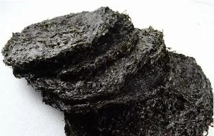 ポルフィラ海藻ポルフィラ・ハイタネンシス<span class=keywords><strong>SEAWEED</strong></span> - Product Image 6