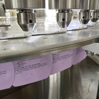 Machines de remplissage et d'emballage à bec verseur multifonction pour la pasteurisation de jus de fruits et de purée d'huile et machine de capsulage rotative