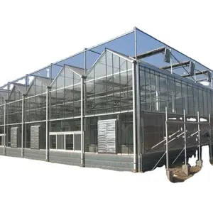 green house agriculture glass panels with indoor farming system and vertical farming system