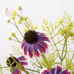 Hesper Best Seller 51cm yapay ekinezya buket nemlendirici el mor <span class=keywords><strong>Coneflower</strong></span> gerçek çiçekler düğün dekorasyon - Product Image 2