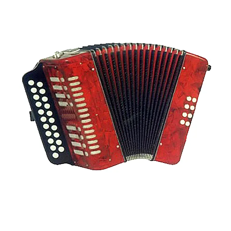 accordion,accordion B821 keyboard instruments