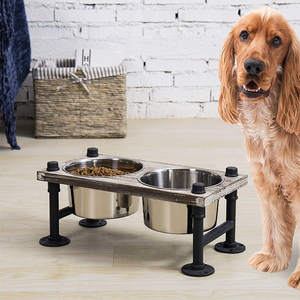 Yükseltilmiş demir köpek kedi evcil hayvan gıda ve su besleyici 2 paslanmaz çelik kaseler ile Stand - Product Image 2