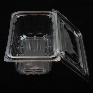 Kotak Makanan Plastik Transparan Persegi Panjang dengan Tutup untuk Sushi, Kue Kering, Kue, & Hewan Peliharaan - Product Image 4